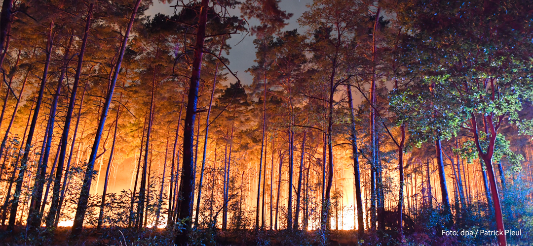 Waldbrand, Foto: picture alliance
