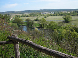 Foto: Blick in die Auenlandschaft