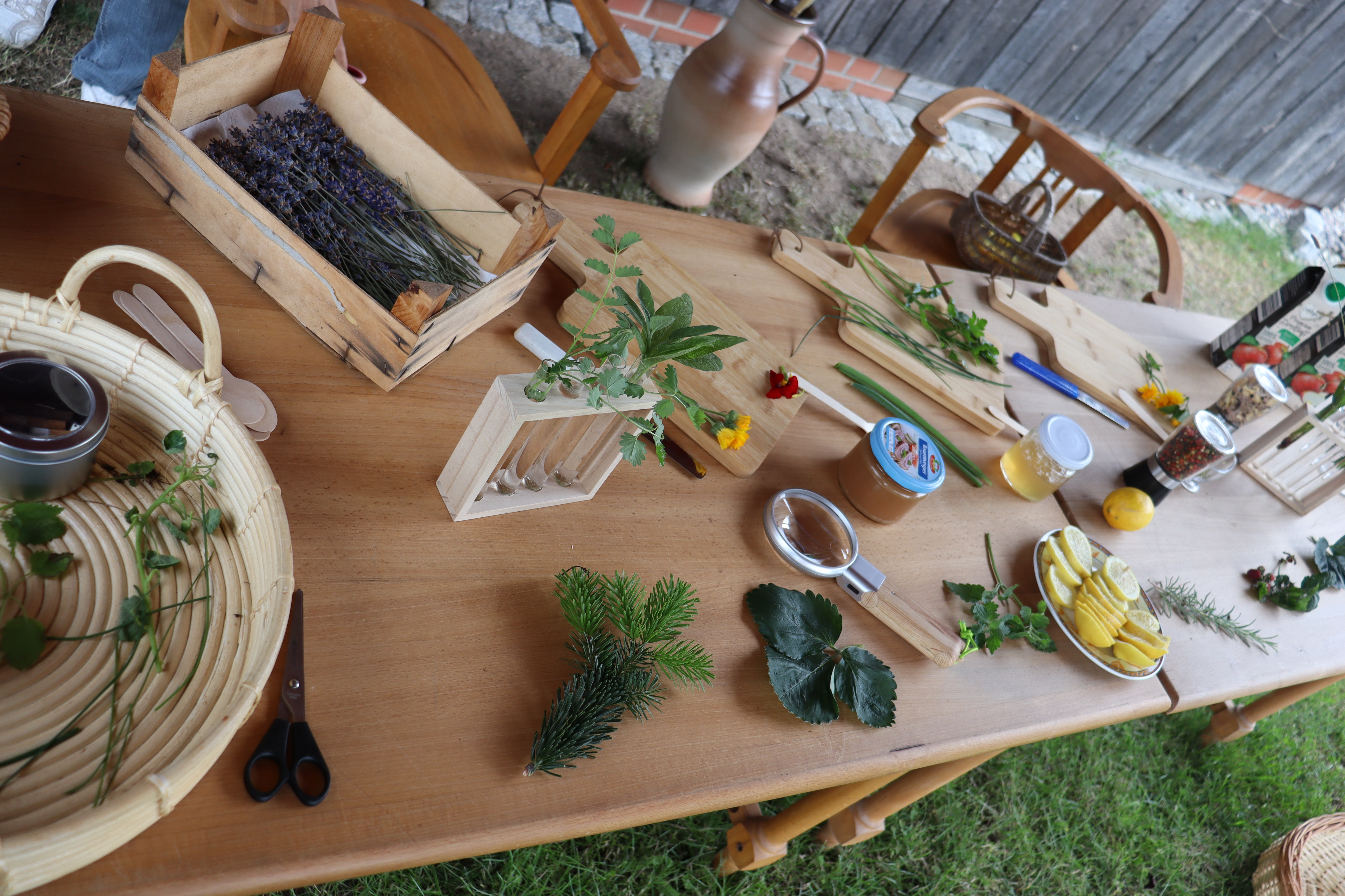 Ein langer Holztisch mit vielen Kräuterzweigen, Holzkisten, Holzbretter, Gläschen und Körbchen im Garten des Tabakmuseums.