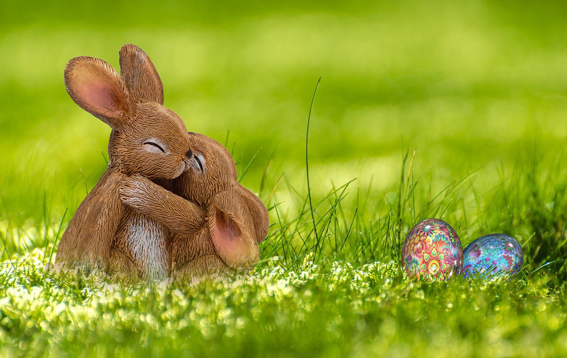 Foto: Osterhase Foto: Osterhase