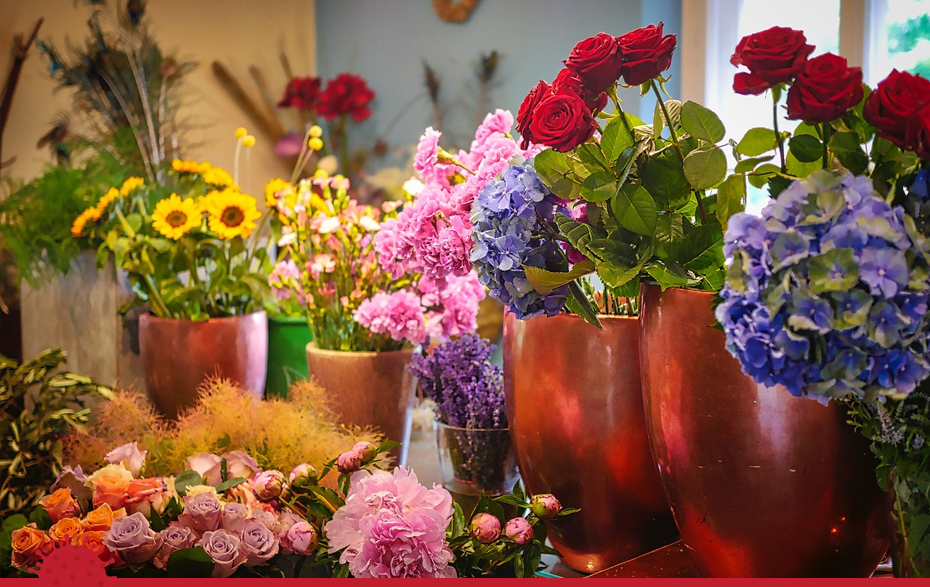 Foto: verschiedene Blumen in einem Laden