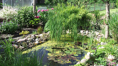 Foto: Gartenanlage mit Teich