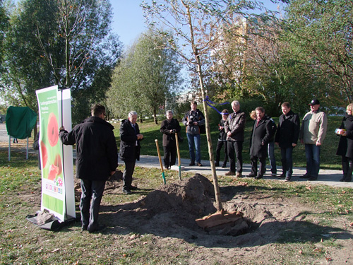 Foto: offizieller Pressetermin am Bollwerk