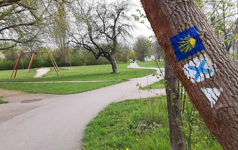 Foto: Markierung am Baum