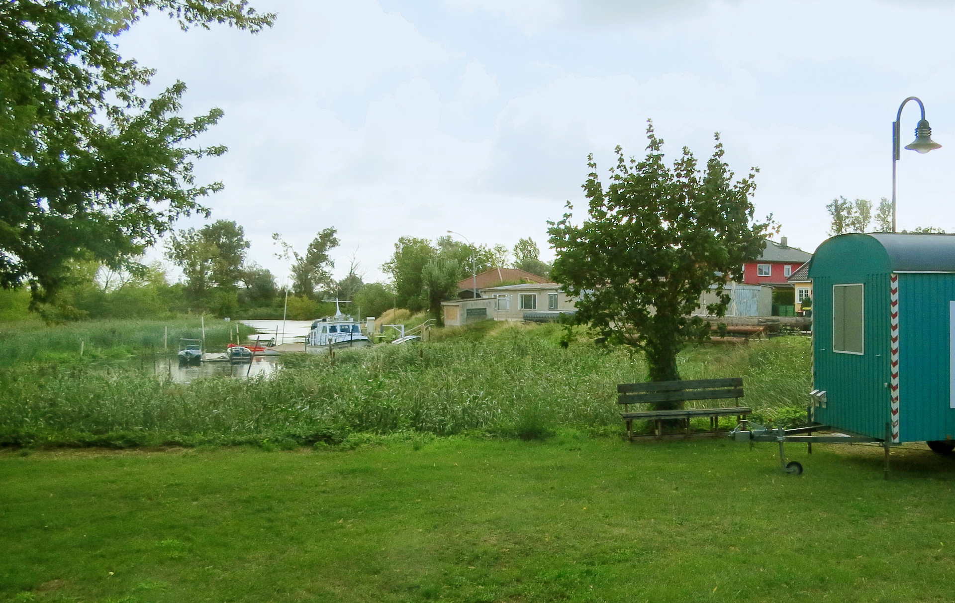 Foto: verschilfter Hafen