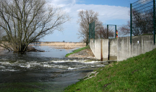 Foto: Das geöffnete Flutungsbauwerk lässt das Wasser der Oder in die Polder fließen.