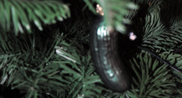 Foto: Weihnachtsbaumschmuck in Form einer Gurke