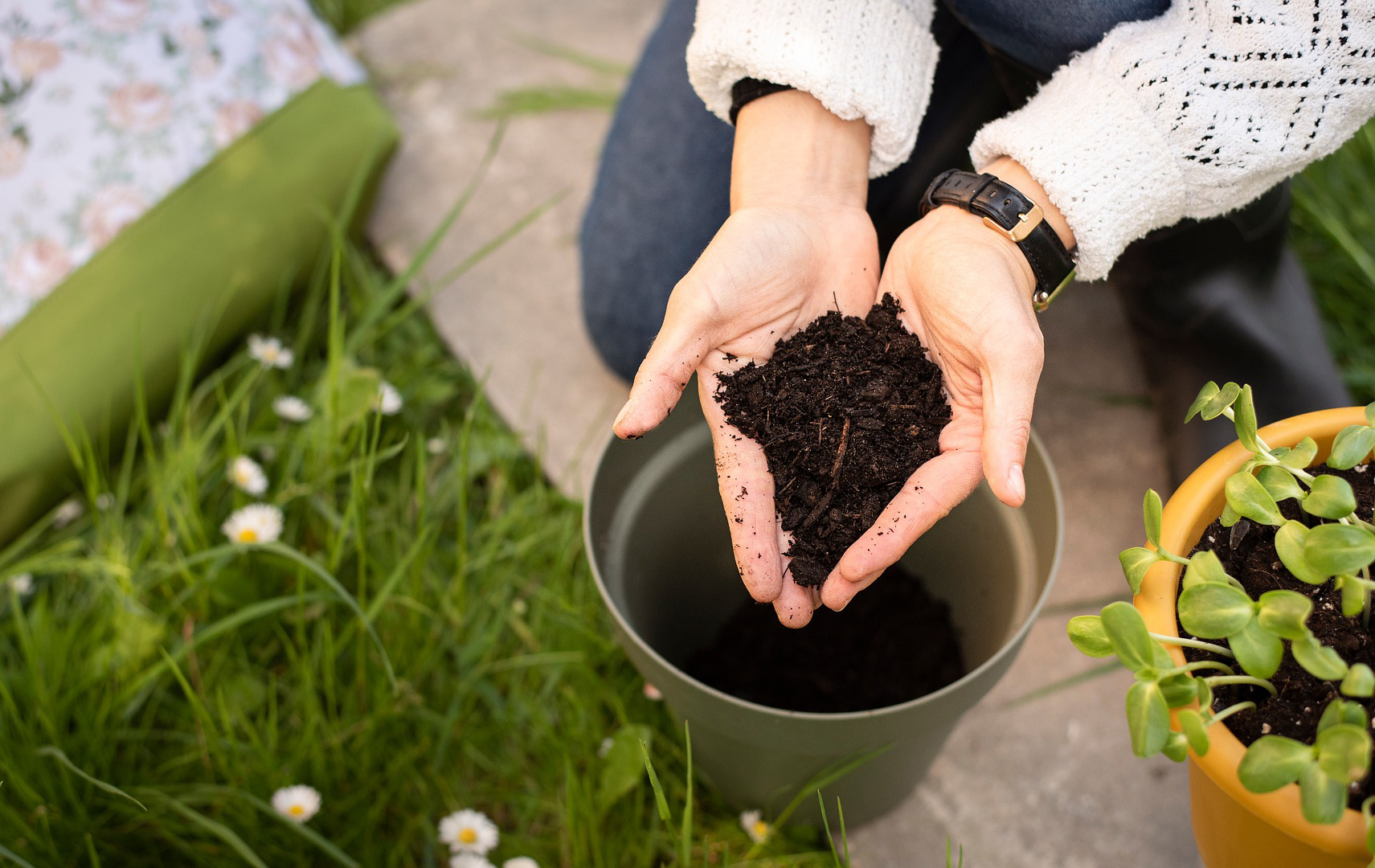 Foto: Frauenhände halten Blumenerde über einen Topf Foto: Frauenhände halten Blumenerde über einen Topf