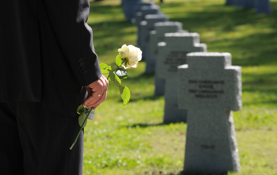 Foto: weiße Rose in der Hand auf einem Kriegsgräberfriedhof