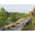 Foto: neu gestaltete und bepflanzte Promenade mit Läufer