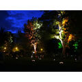 Foto: farbig angestrahlte Bäume, viele kleine Lichter auf der Wiese