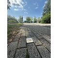 Foto: Stolperstein von Jacks am Bollwerk Foto: Stolperstein von Jacks am Bollwerk