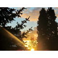Foto vom 15. Oktober 2011: Sonnenaufgang zwischen Wohnhaus und Bäumen
