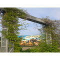 Foto vom 29. April 2011: blau blühende Kletterpflanzen umranken die Stahlkonstruktion, Blick auf die Fassadenmalerei „Tierpark“
