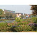 Foto vom 3. Oktober 2011: Blick auf Centrum Kaufhaus und Sparkasse, im Vordergrund eine Rabatte mit blühenden Herbstblumen