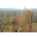 Foto vom 4. November 2011: leicht vernebelter Blick von oben auf den herbstlichen Park