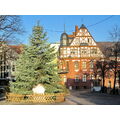 Foto vom 3. Januar 2012: sonniger Blick auf den Weihnachtsbaum und das historische Gebäude am Vierradener Platz