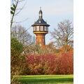 Foto vom 6. November 2012: Wasserturm, davor herbstlich gefärbte Büsche
