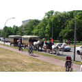 Foto: Die Kutschen fahren durch die Lindenallee.