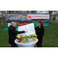 Foto: Ringelblumenplan