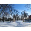 Foto: Blick in den winterlichen Park mit den Schlossgittern