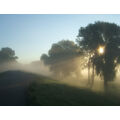 Foto vom 6. September 2010: Sonnenstrahlen suchen sich ihren Weg durch Nebel und Bäume