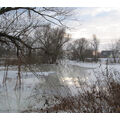 Foto vom 8. Januar 2011: Das Eis am Uferweg taut.