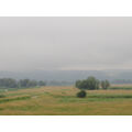 Foto vom 30. Juni 2011: Blick in die Polderlandschaft, im Hintergrund Hügel halb von Regen- oder Nebelwolken bedeckt