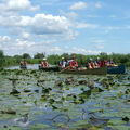 Foto: Gruppe mehrerer Boote auf dem Wasser