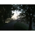 Foto vom 2. September 2011: Bäume, Brücke und Laterne wie im Schattenriss