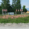 Foto vom 4. Juli 2013: Rosenblüte auf dem Kreisel am Ortseingang