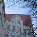 Foto vom 4. Februar 2014: Blick noch oben auf Häuserfassade, kahlen Baumwipfel und blauen Himmel