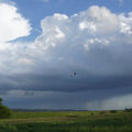 Foto vom 11. Mai 2014: Wolkentürme und Regenschauer im Hintergrund, ein Storch fliegt über dem Deich