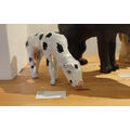 Foto: Keramik-Kuh in der Vitrine