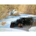 Foto vom 8. Februar 2012: Graureiher und Fischotter am vereisten Ufer