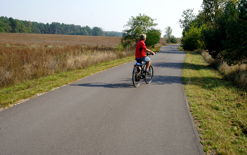 Foto: Radfahrer auf asphaltiertem Weg