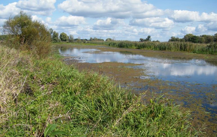 Landschaftsfoto: Flussaue