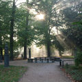 Foto vom 2. Oktober 2013: Die Sonne im Gegenlicht, die Strahlen brechen durch die Bäume.