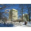 Foto: verschneiter Park mit Hochhäusern