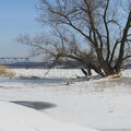 Foto vom 1. Februar 2014: Brücke, zugefrorene Oder und Baum